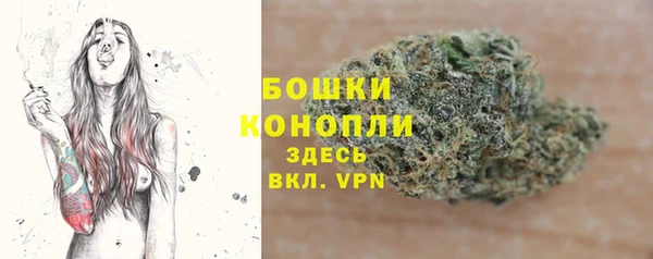спиды Белокуриха