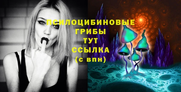 кокаин перу Богданович