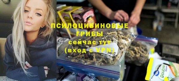 спиды Белокуриха