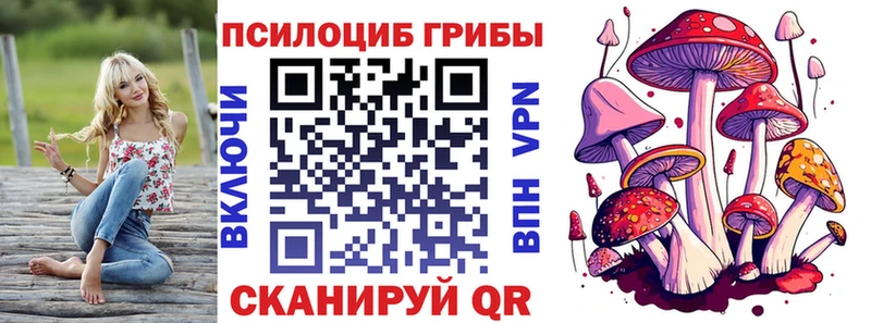 Псилоцибиновые грибы Psilocybe  Купить закладки  Макаров 